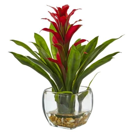 Vibrant Bromeliad with Vase Arrangement