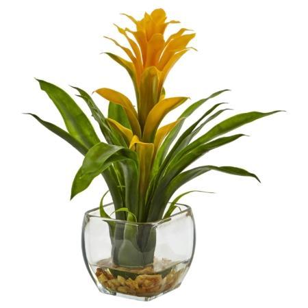 Radiant Bromeliad with Vase Arrangement