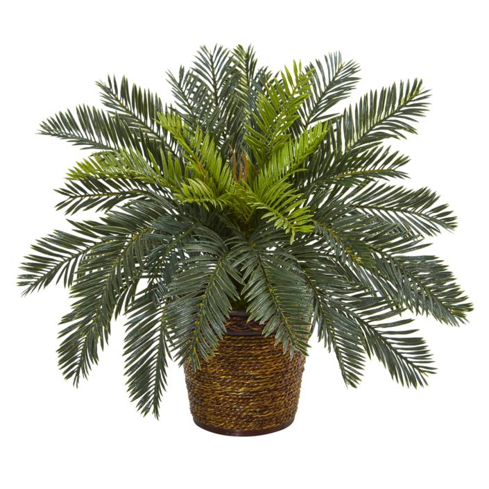 Stunning 15" Cycas Artificial Plant in Basket