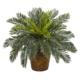 Stunning 15" Cycas Artificial Plant in Basket