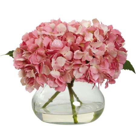 Beautiful Blooming Hydrangea w-Vase