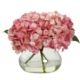 Beautiful Blooming Hydrangea w-Vase