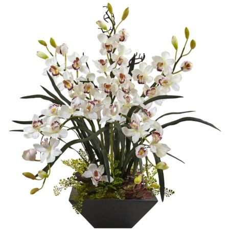 Beautiful Cymbidium Orchid with Black Vase