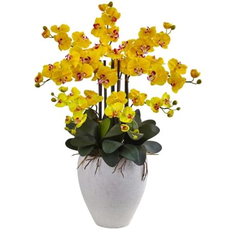 Vibrant Phalaenopsis Orchid with White Planter