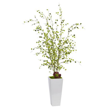 Exquisite Night Willow in White Planter