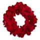 Beautiful 22" Amaryllis Wreath