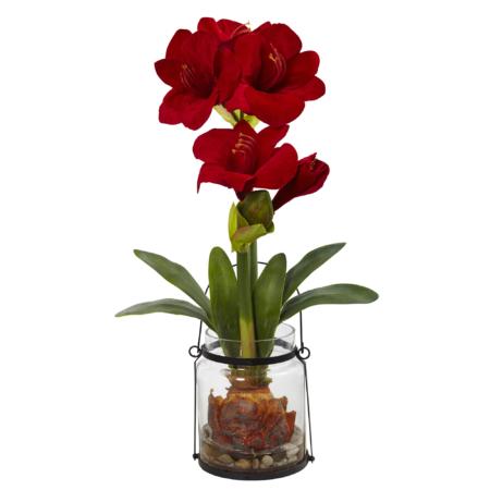 Exquisite 24" Amaryllis w-Vase