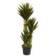 Stunning 3.5' Agave Artificial Plant