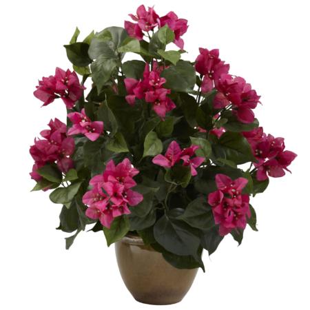 Captivating Bougainvillea w-Ceramic Vase