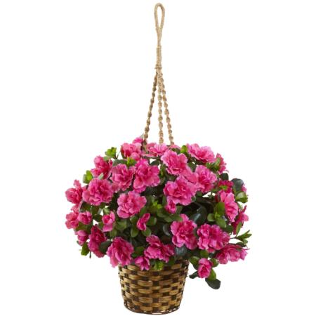 Beautiful Azalea Hanging Basket