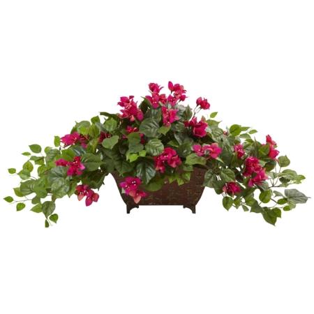 Beautiful Bougainvillea in Metal Planter