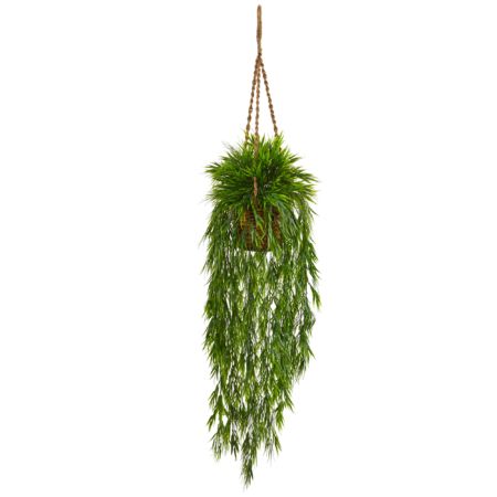 Stunning Mini Bamboo Hanging Basket