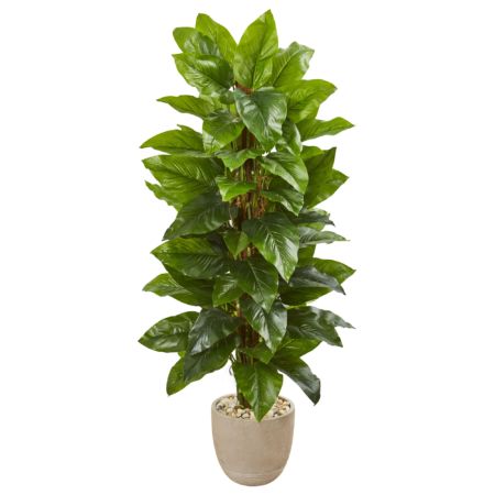 Stunning 58" Large Leaf Philodendron Artificial Plant in Sand Stone Planter (Real Touch)