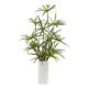 Beautiful 24" Cyperus Artificial Plant in White Planter