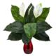 Beautiful 24" Spathiphyllum Artificial Plant in Ruby Planter