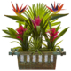 Vibrant Birds of Paradise and Bromeliad in Planter