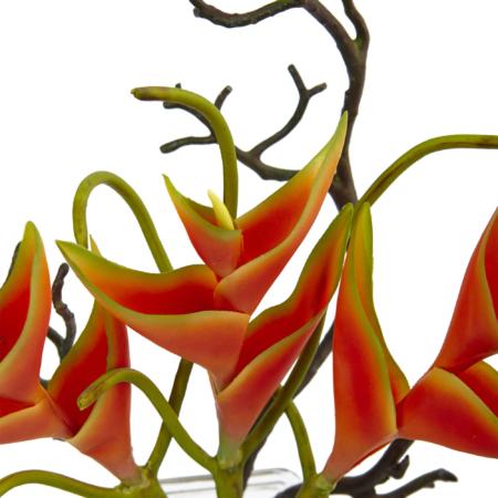 Vibrant Heliconia in Glass Vase