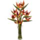 Vibrant Large Birds of Paradise in Vase