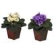 Beautiful African Violet w-Vase Silk Plant (Set of 2)