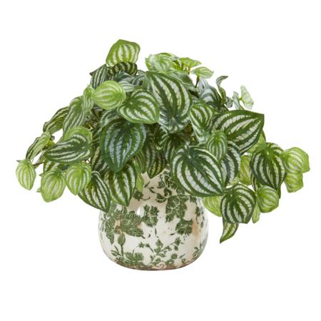 Stunning Watermelon Peperomia Artificial Plant in Vase (Real Touch)