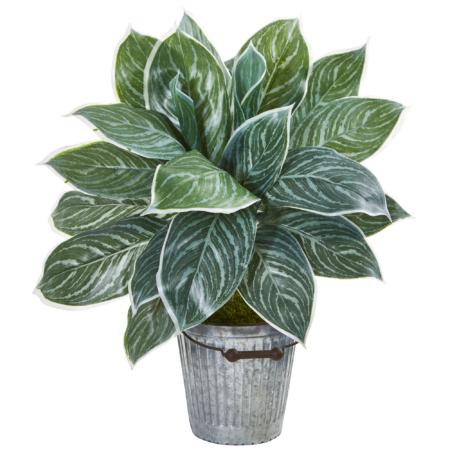 Beautiful 24" Silver Aglaonema Artificial Plant in Decorative Bucket (Real Touch)