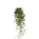 Beautiful Pothos Hanging Basket Artificial Plant