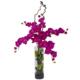 Radiant Giant Phalaenopsis and Hydrangea Arrangement Orchid