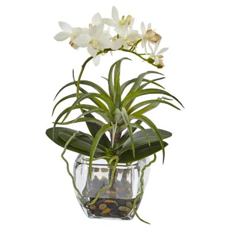 Beautiful 10" Orchid and Succulent Arrangement