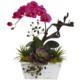 Vibrant 21" Orchid and Succulent Garden with White Wash Planter-Beauty