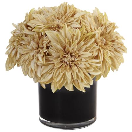 Stunning 11" Dahlia Mum in Black Glossy Cylinder Cream