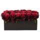 Radiant 6" Roses in Black Rectangular Planter Burgundy