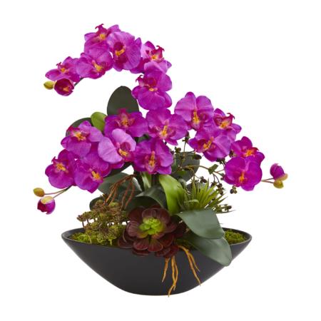 Vibrant 21" Phalaenopsis Orchid and Mixed Succulent Garden in Vase