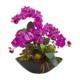 Vibrant 21" Phalaenopsis Orchid and Mixed Succulent Garden in Vase