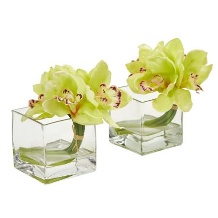 Vibrant 8" Cymbidium Orchid Arrangement in Glass Vase (Set of 2)