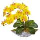 Radiant 16" Phalaenopsis Orchid Artificial Arrangement in Vase