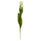 22" Tulip Artificial Flower (Set of 8)