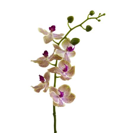 29" Phalaenopsis Orchid Artificial Flower (Set of 4)