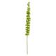 31'' Bell of Ireland Artificial Flower (Set of 3)