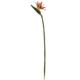 35'' Bird of Paradise Artificial Flower (Set of 4)