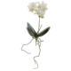 13" Mini Orchid Phalaenopsis Artificial Flower (Set of 6)