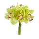 9" Cymbidium Orchid Artificial Flower Bundle (Set of 6) - Green