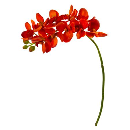 21" Phalaenopsis Orchid Artificial Flower (Set of 6) - Orange