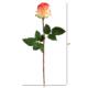 21" Rose Bud Artificial Flower (Set of 6) - Salmon