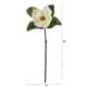 28" Magnolia Artificial Flower (Set of 3)