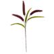 30" Sorghum Harvest Artificial Flower (Set of 12) - Burgundy