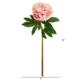 20" Peony Artificial Flower (Set of 3) - Hot Pink