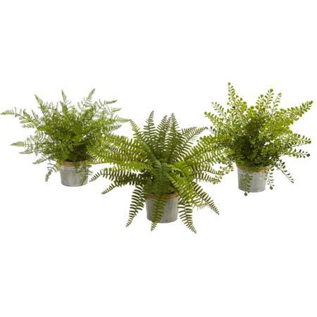 14" Fern Pot (Set of 3)