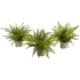 14" Fern Pot (Set of 3)