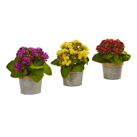 9" Kalanchoe Artificial Plants (Set of 3)