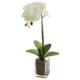 Orchid Phalaenopsis Artificial Arrangement in Vase - Cream